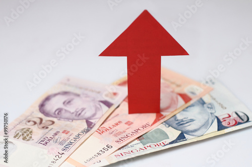 Photography Appreciation of the Singapore dollar
