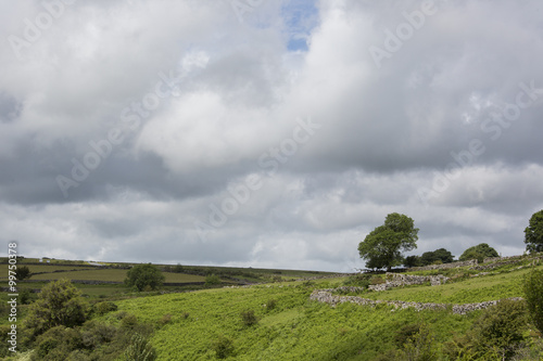 Dartmoor photo