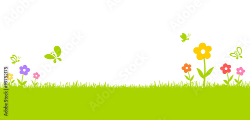 Bunte Blumenwiese