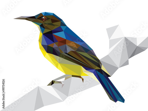 Polygonal bird (Yellow-bellied sunbird)