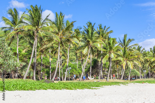 Sous les cocotiers de Grande Anse, île de la Réunion 