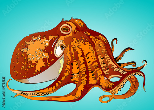 Krake