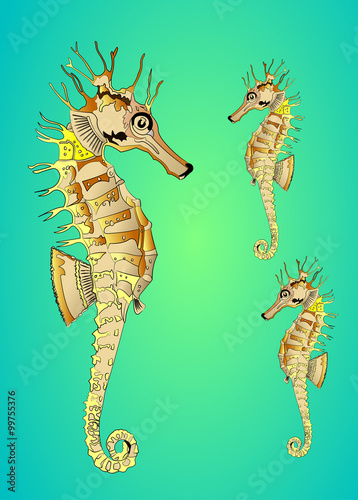 Seepferdchen