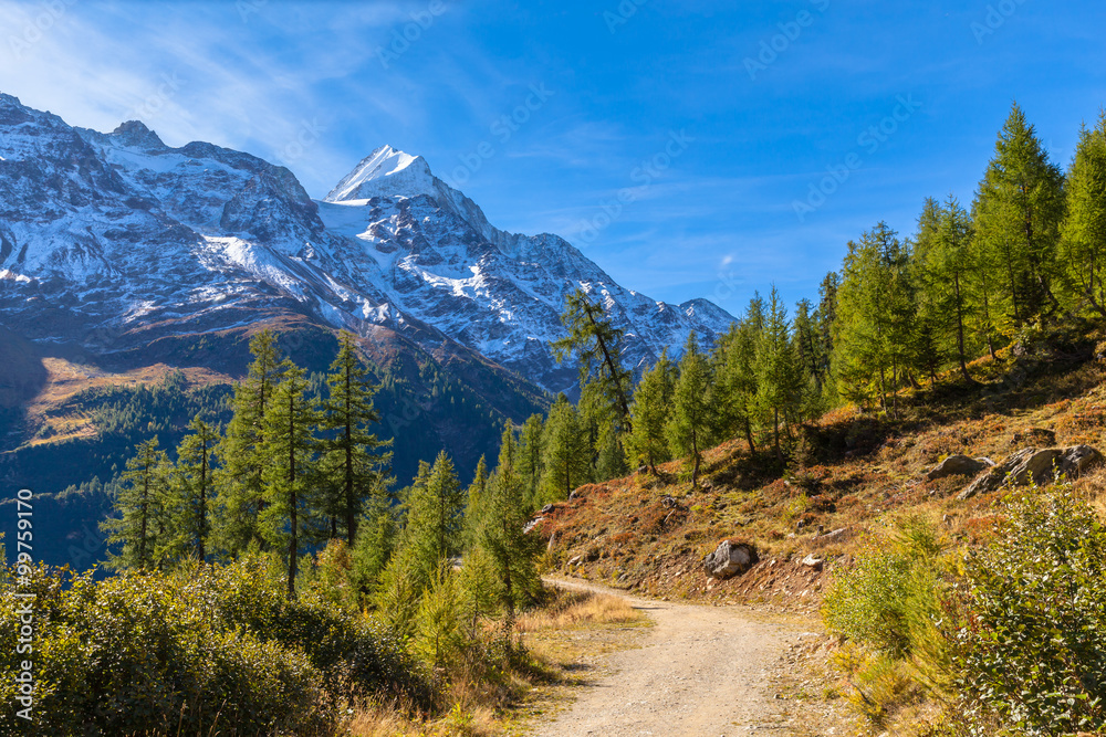 On the hiking path in Loetschental valley On the hiking path in Loetschental valley