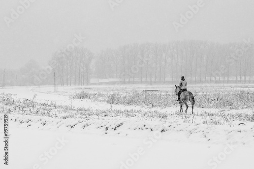 Horseback riding in winter field