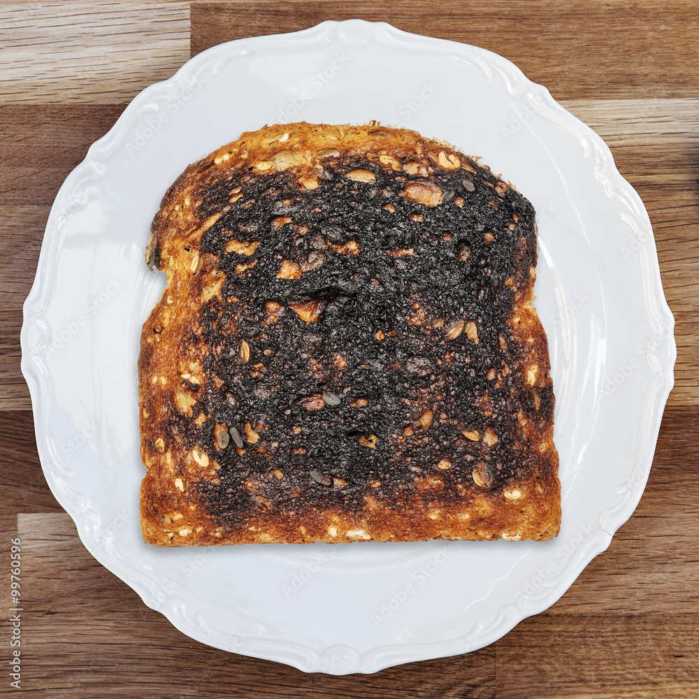 toast blundstone