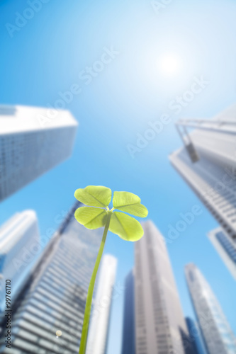 Skyscraper and clover. photo