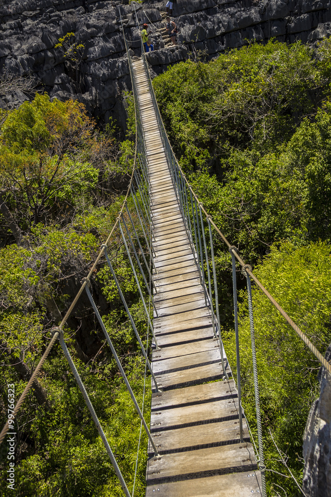 Old dangerous suspension bridge on a green park in Madagascar