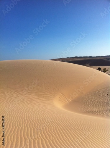 White sanddunes at Muine in Vietnam  Asia