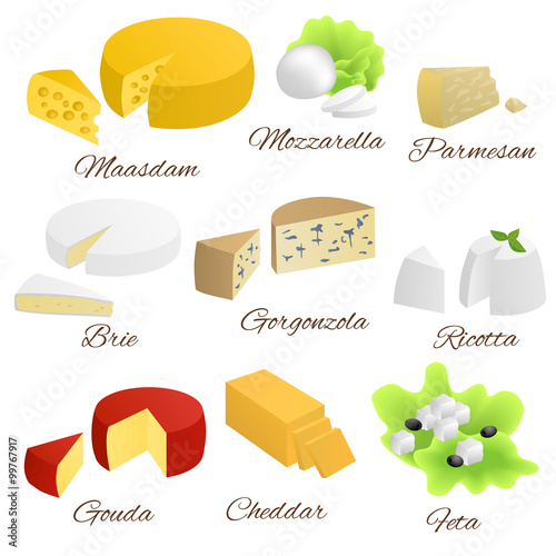 Cheese isolated food set different types illustration vector