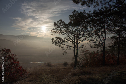 View of the lake, mountains and pine trees in the early morning.