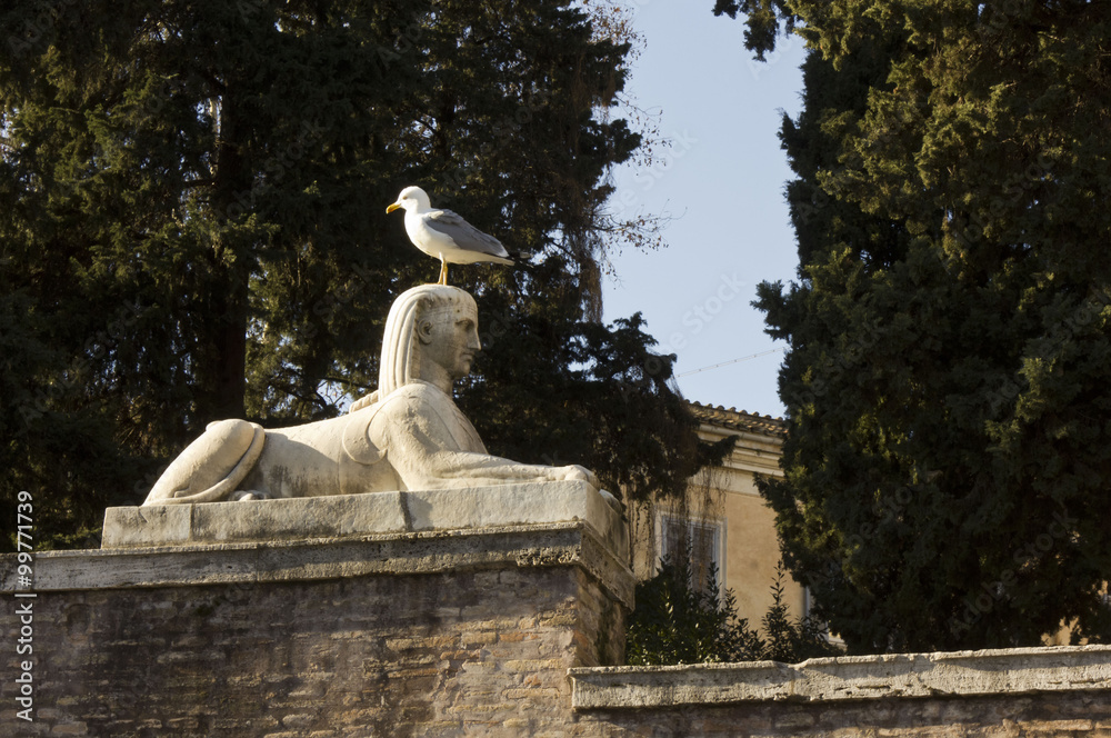 Sphinx Statue in Piazza del Popolo in Rome, with a bird on it
