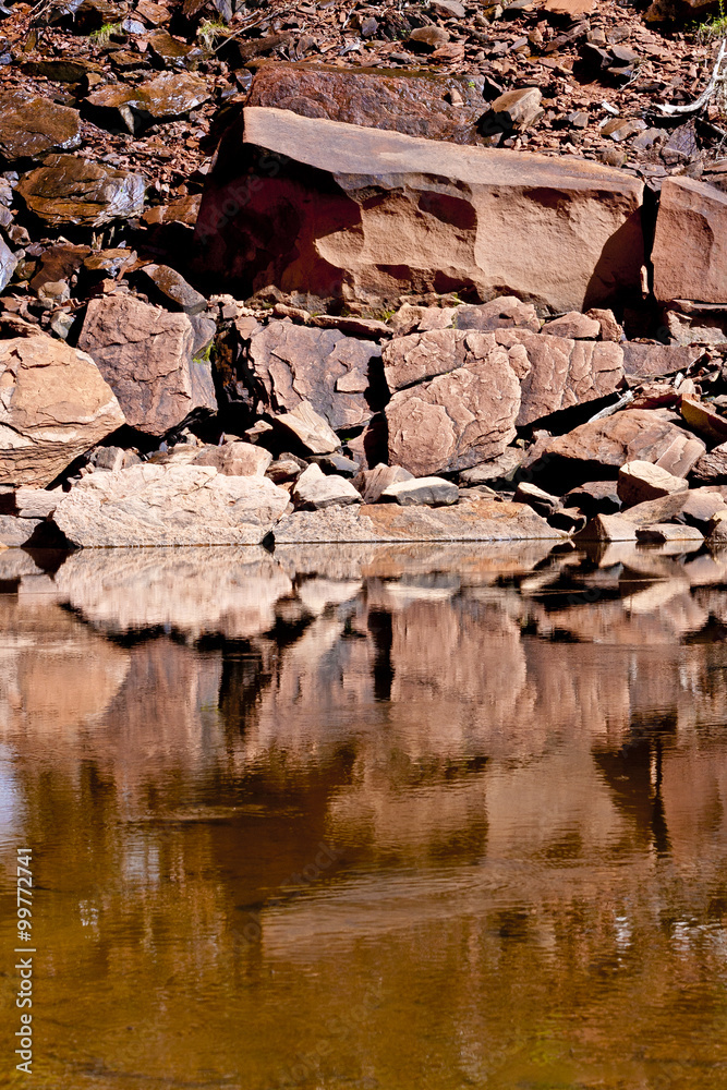 Fototapeta premium reflections in rocky pond