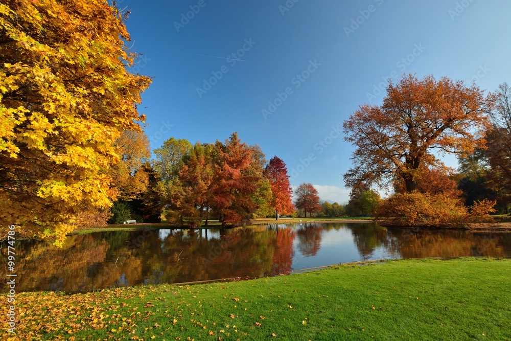 Herbstlich gefärbte Bäume