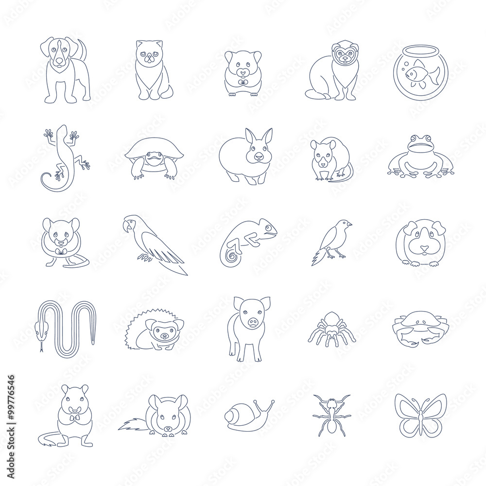 Animals pets vector flat thin line icons set. Outline pictograms of various domestic animals. Mammals, rodents, amphibian, insects, birds, reptiles, which people take care of at home