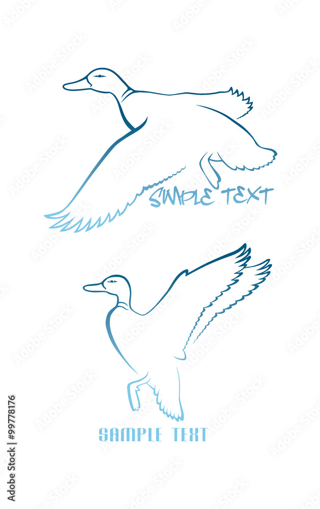 logo duck logo duck