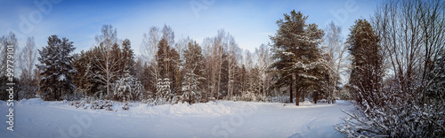 зимняя панорама заснеженного леса, Россия, Урал 