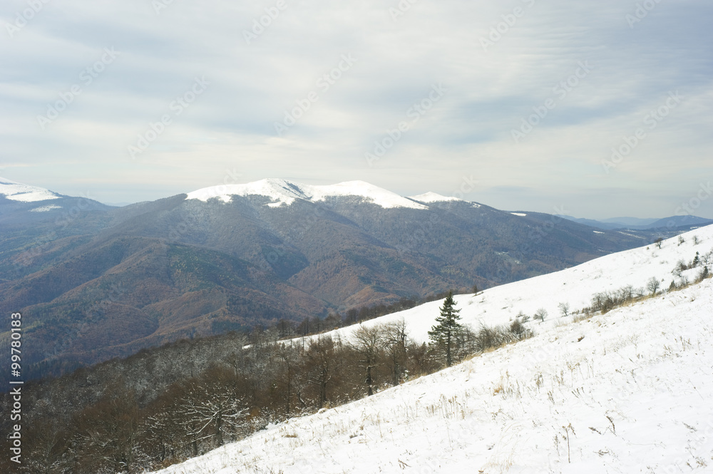 Carpathians mountain in winter