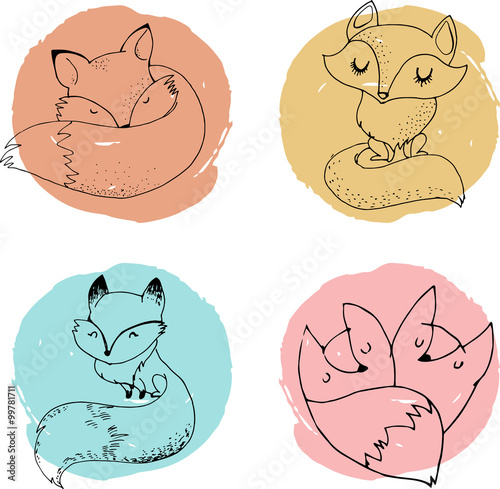 Fox characters, cute, lovely illustrations 