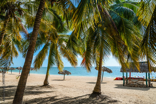Summer beach view from behind palm leaves © marcin jucha