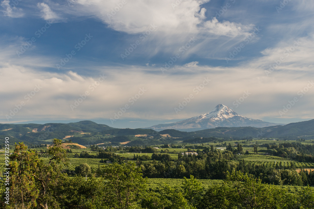 Fototapeta premium Mount Hood and its planes