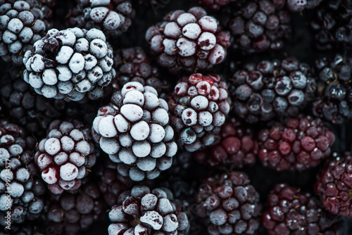 close view on frozen Blackberry fruits