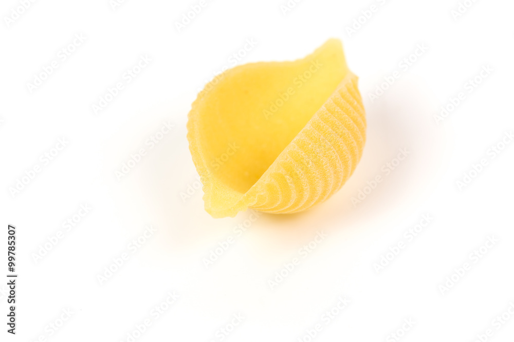 conchiglie pasta shell conchiglie pasta shell