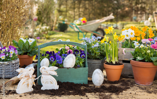 Ostern. Frühlingsblumen im Garten zum Osterfest. Arbeit im Garten als Hobby.