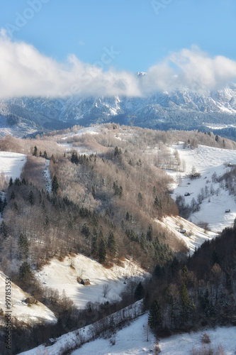 Sunny day of a winter, on wild transylvania hills with Bucegi mountains in background.. 09.01.2016. Sirnea. Romania. Low key, dark background, spot lighting, and rich Old Masters photo