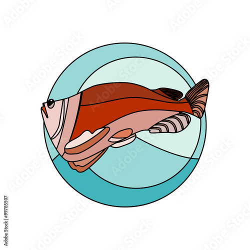 outline salmon fish