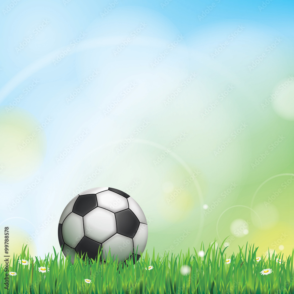 Naklejka premium FOOT FOND PELOUSE