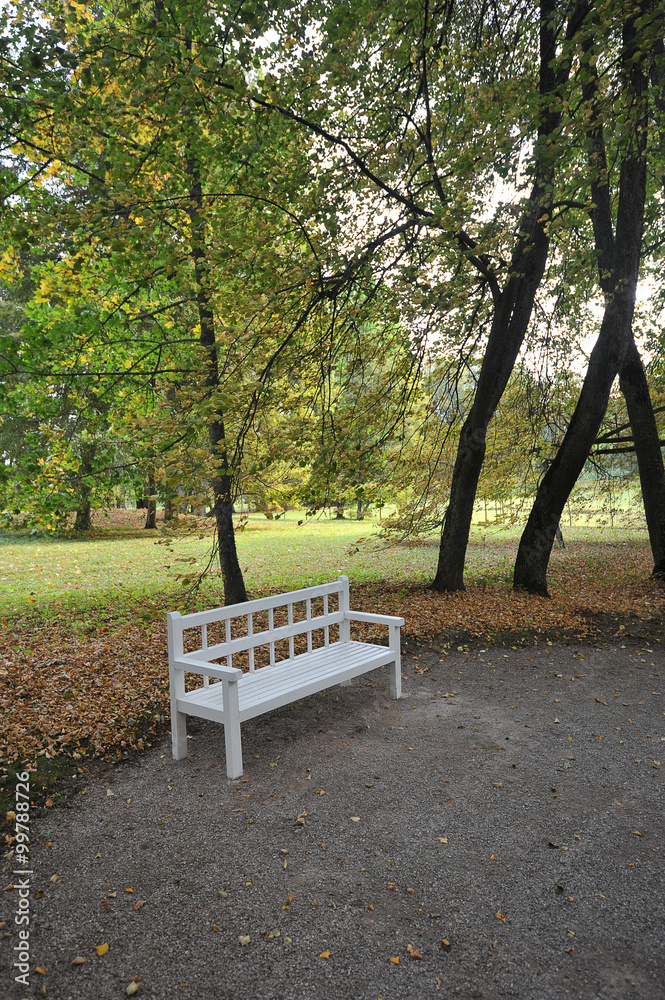 white bench in the autumn garden white bench in the autumn garden
