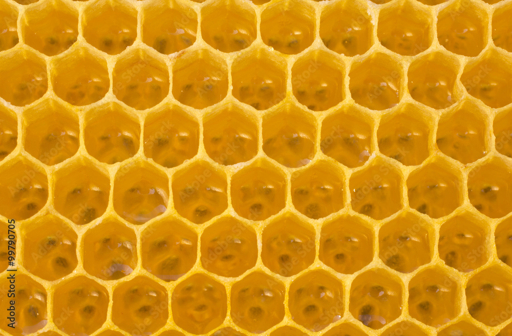 New honeycomb