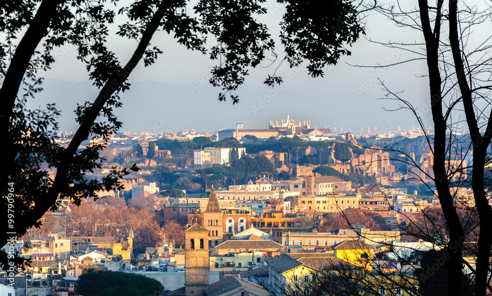 Obraz premium Vue des toits de Rome