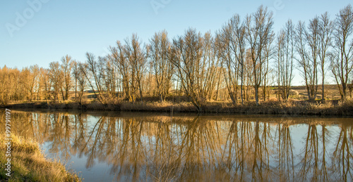 Golden Landscape. River win...
