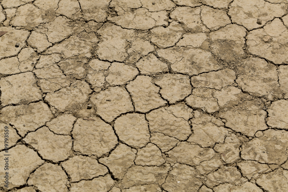 Dry land texture Dry land texture