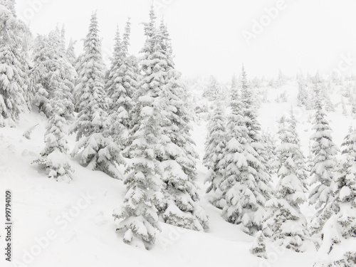 Snow Covered Winter Terrain Background