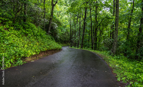 Winding Mountain Road. A one lane winding mountain road through the lush forest of the Great Smoky Mountains after a summer rain. 