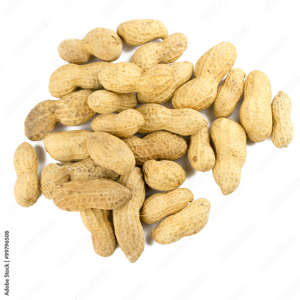 Dried peanuts in isolated on white Dried peanuts in isolated on white