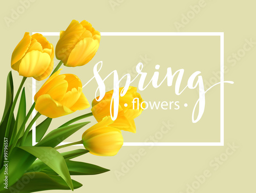 Spring text with  tulip flower. Vector illustration photo