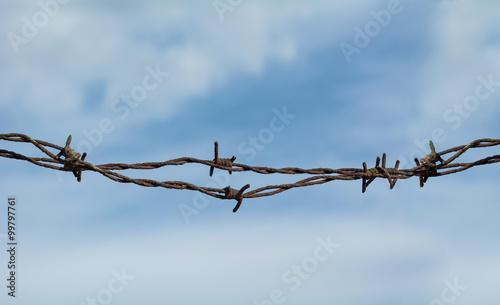 Barb wire detail against blue sky