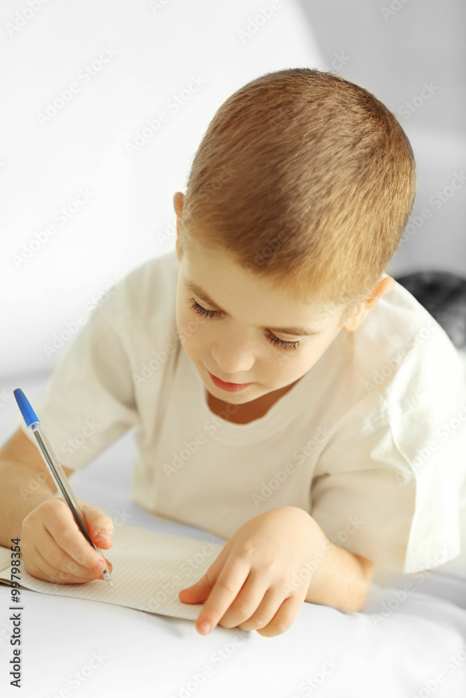 Little boy writing in notebook on a sofa at home Little boy writing in notebook on a sofa at home