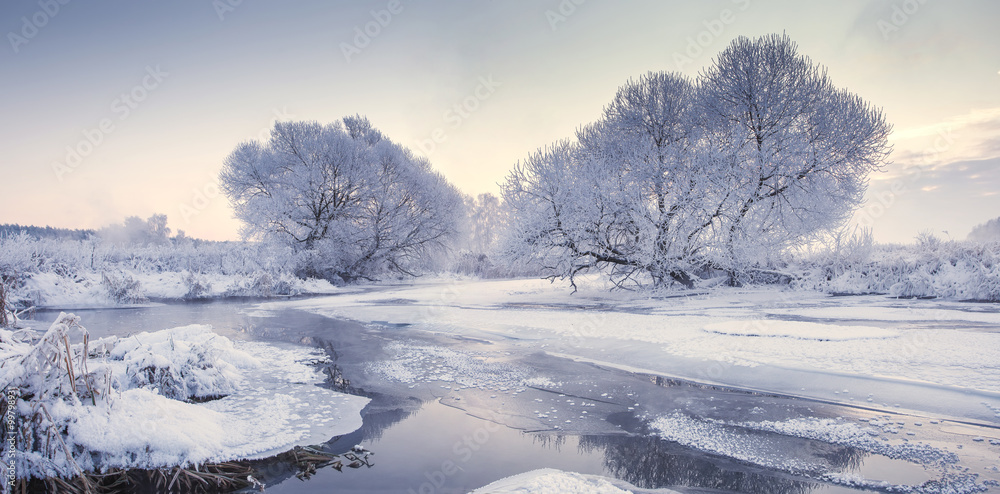 Frosty winter morning