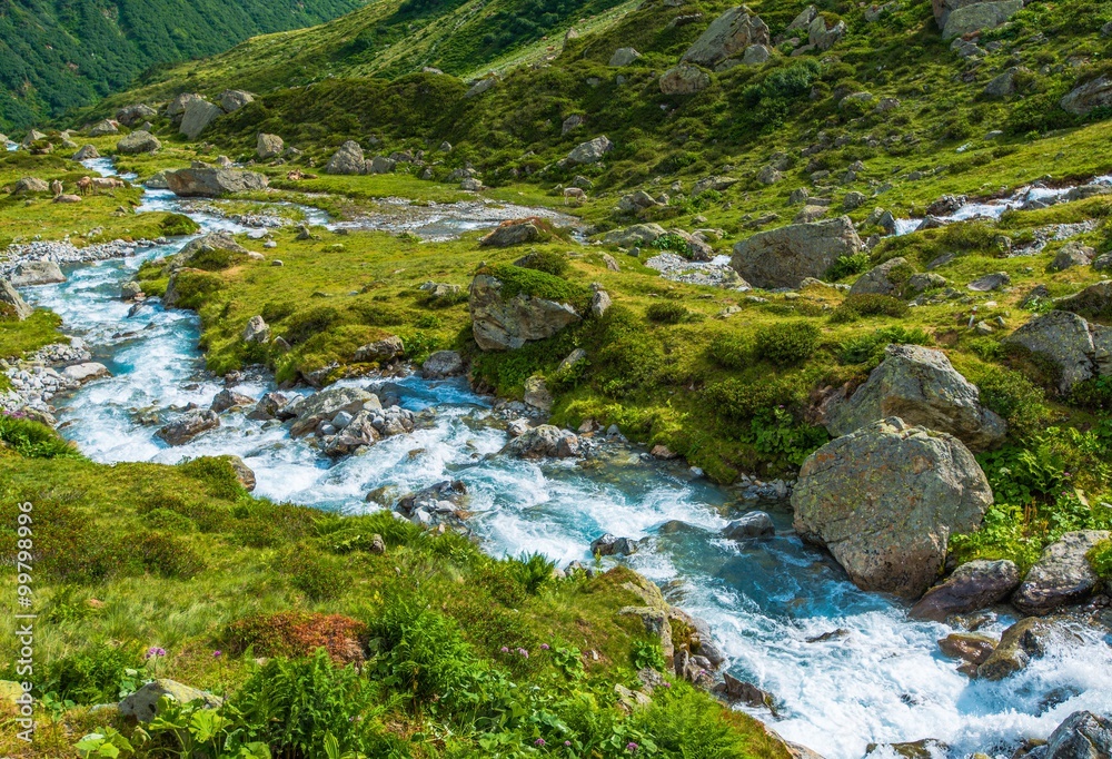 Scenic Alpine River Scenic Alpine River
