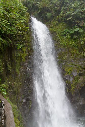 Jungle waterfall © Sergey P