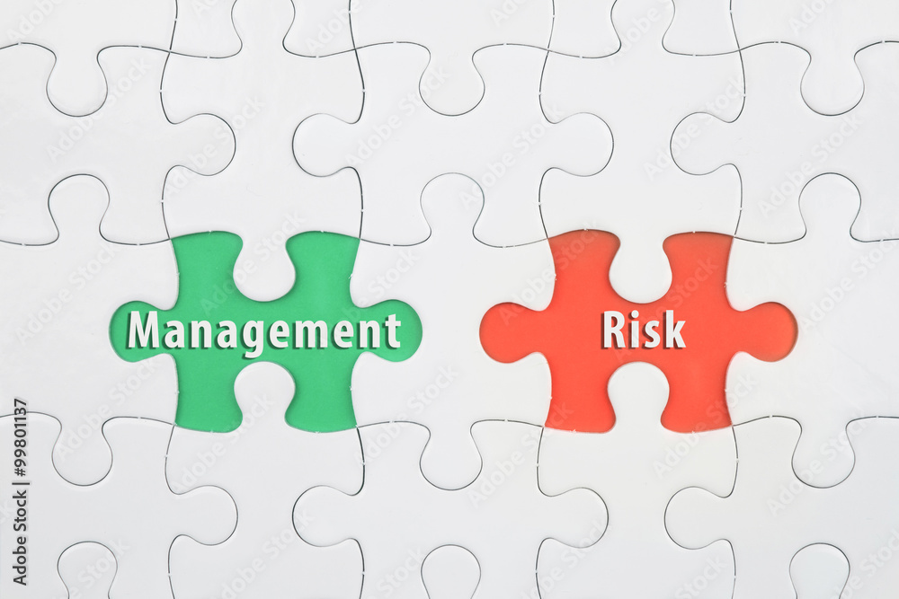 Jigsaw puzzle on color paper background with a word Management and Risk Jigsaw puzzle on color paper background with a word Management and Risk
