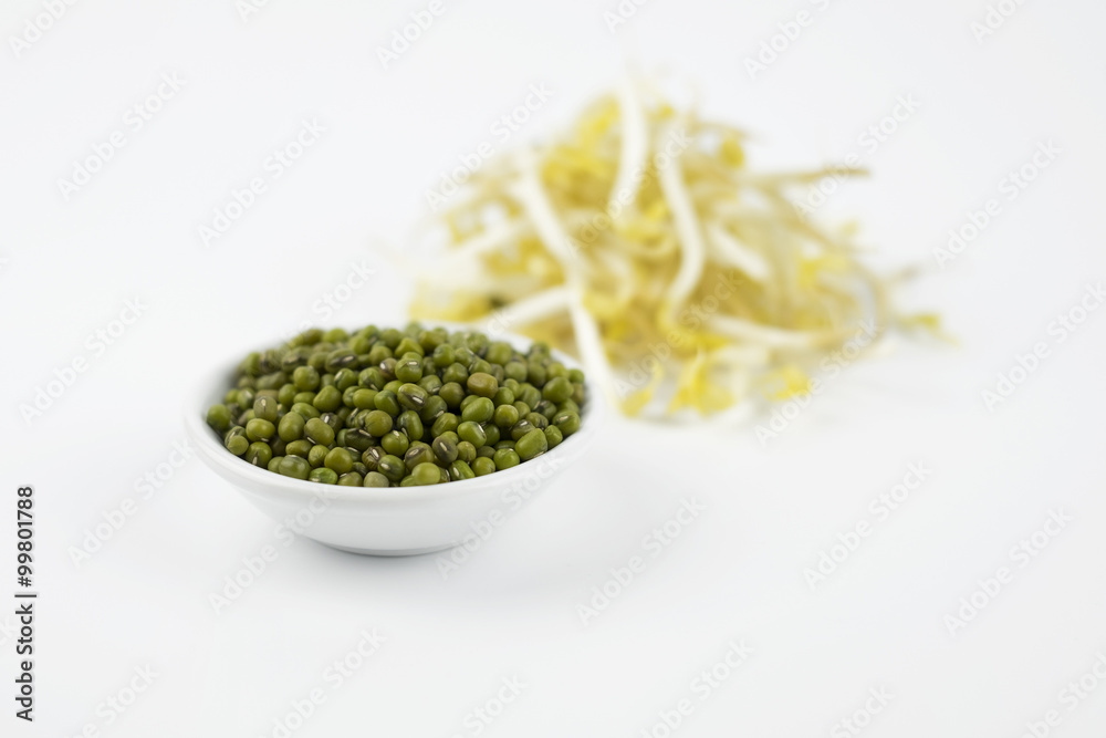 Mungbean Sprouts on white background. Selective focus Mungbean Sprouts on white background. Selective focus