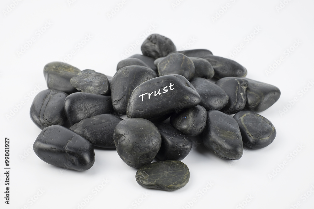 Black pebble with Trust word on white background Black pebble with Trust word on white background