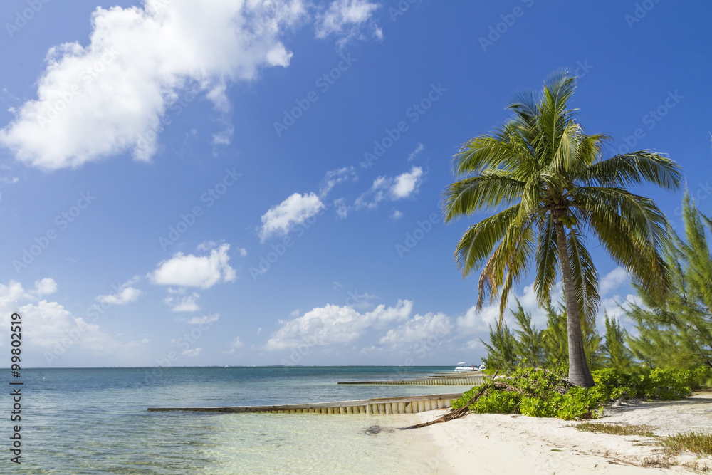 Starfish Point Beach Paradise