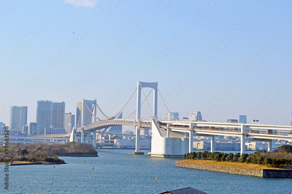 Obraz premium Popular shopping spot, Odaiba in Tokyo